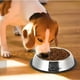 thumbnail image 3 of Comedero Perro Platos Para Perros Gatos Mascotas 18cm, 3 of 3
