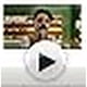 thumbnail image 3 of Crema Pre Afeitado Proraso Aloe Vera Vitamina E 100 ml, 3 of 3