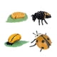 thumbnail image 1 of Juego De Ciclo De Crecimiento Animal, Juguete Cognitivo Montessori, Accesorios De Enseñanza Para Niños, 1 of 3