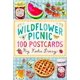 thumbnail image 1 of Set de 100 Postales Picnic de Flores Silvestres de Chronicle Books, 1 of 1