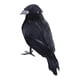 thumbnail image 1 of Cuervos De Halloween Cuervos Con Plumas Negras Realistas Para Disfraces Elegantes Patio Césped Estilo B, 1 of 5