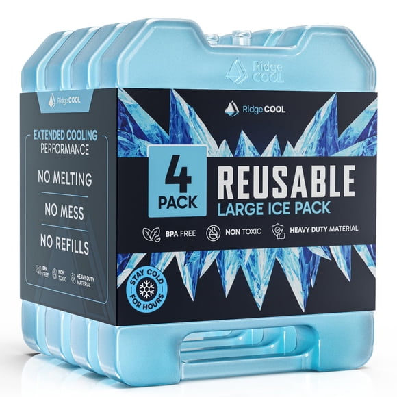Paquete de 4 Bolsas de Hielo Reutilizables RIDGECOOL Grandes 20x17 cm