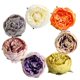 thumbnail image 3 of 10 Piezas 5 Cm Peony Flower Cabeza Seda Artificial Flores Falsas Mezcladas, 3 of 3