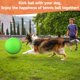 thumbnail image 3 of Pelota QDAN de 24 cm para perros grandes – Juguete de pastoreo, 3 of 8