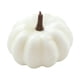 thumbnail image 2 of Calabaza Artificial De Halloween, Calabazas De Espuma, Decoración, Centro De Mesa, 6,5x9cm, Blanco, 2 of 5