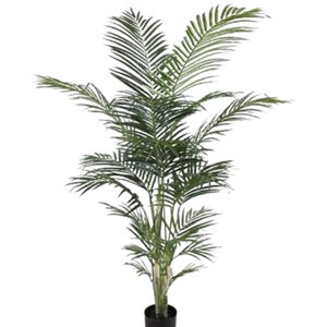 Corel - Planta Decorativa Palmera Areca 150 Cm