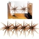 thumbnail image 1 of Señuelos pesca erizo mar 4 uds dados peludos flotante TPR estrella reflectante agua salada, 1 of 7