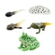 thumbnail image 2 of Montessori Frogs Life Cycle Model Animals Juego Cognitivo Para Niños Proyecto Estilo B, 2 of 5