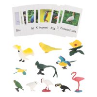 Magideal - Montessori Animal Match, Materiales Montessori, Niños Pequeños, Niños, Figuras De Animales Realistas, Juguetes Para Regalo Navideño, Material Didáctic Pájaro
