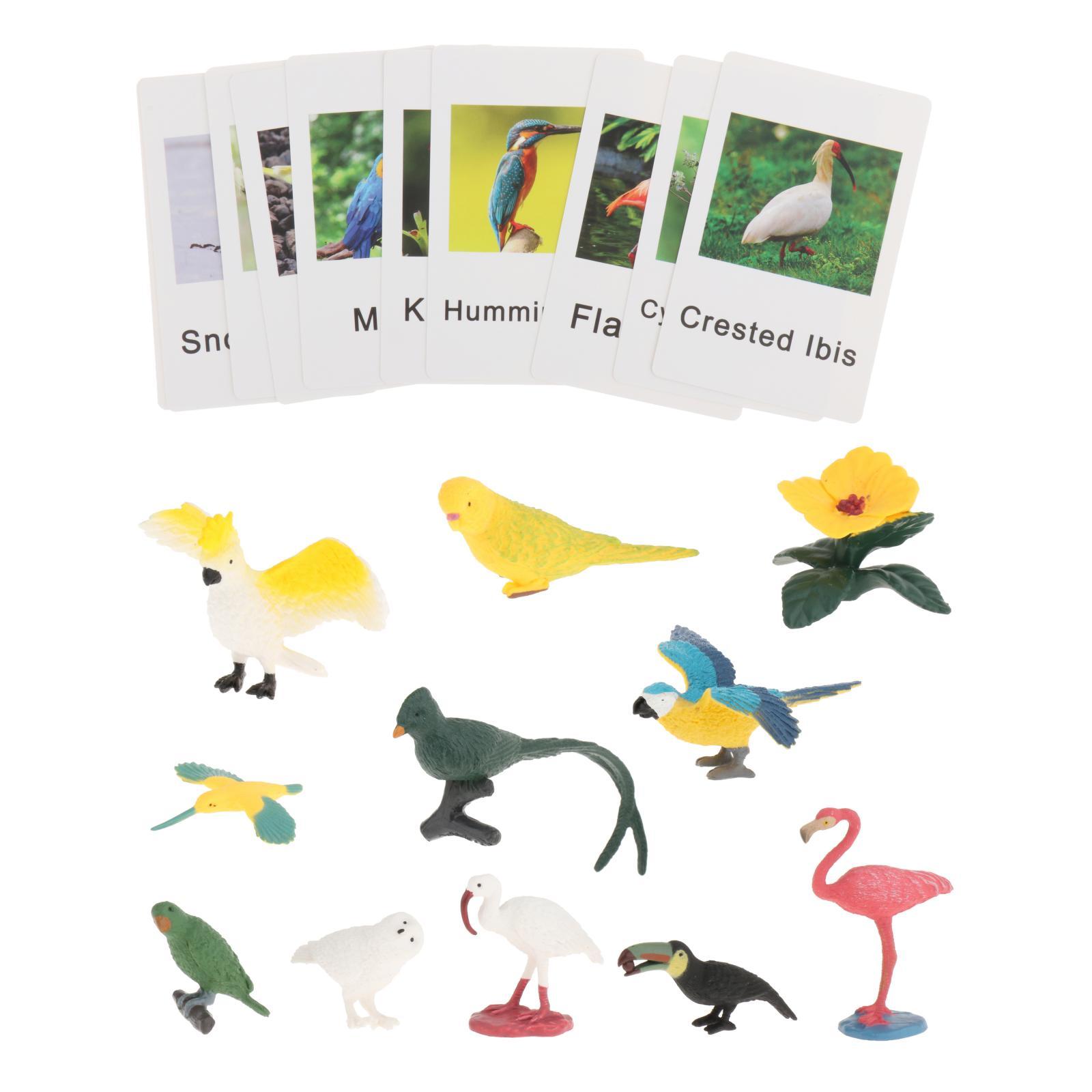 Magideal - Montessori Animal Match, Materiales Montessori, Niños Pequeños, Niños, Figuras De Animales Realistas, Juguetes Para Regalo Navideño, Material Didáctic Pájaro