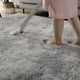 thumbnail image 4 of Alfombra grande para sala de estar, dormitorio, peluda, esponjosa, lavable, suave, para decoración del hogar (blanco y gris, 160 x 200 cm), 4 of 5