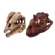 thumbnail image 1 of 2 Piezas De Resina De Dinosaurio Modelo De Cráneo Dilophosaurus Y Ceratosaurus Coleccionables, 1 of 5