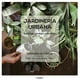 thumbnail image 1 of Compañía Botánica - Jardineria Urbana, 1 of 2
