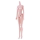 thumbnail image 1 of 1/6 BJD Nude Doll Busto Medio Mujer Con Articulación De Bola Partes Del Cuerpo Accesorio, 1 of 5