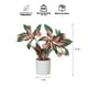 thumbnail image 3 of Planta Artificial Begonia Flor 30x8 cm, 3 of 3