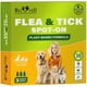 thumbnail image 1 of Tratamiento spot-on natural contra pulgas y garrapatas Beloved Pets, 3 meses, 1 of 8