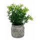 thumbnail image 1 of Set 2 Plantas Artificiales Arbusto Follaje Rústico Jhn, 1 of 3