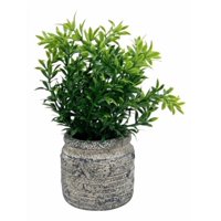 Genérico - Set 2 Plantas Artificiales Arbusto Follaje Rústico Jhn