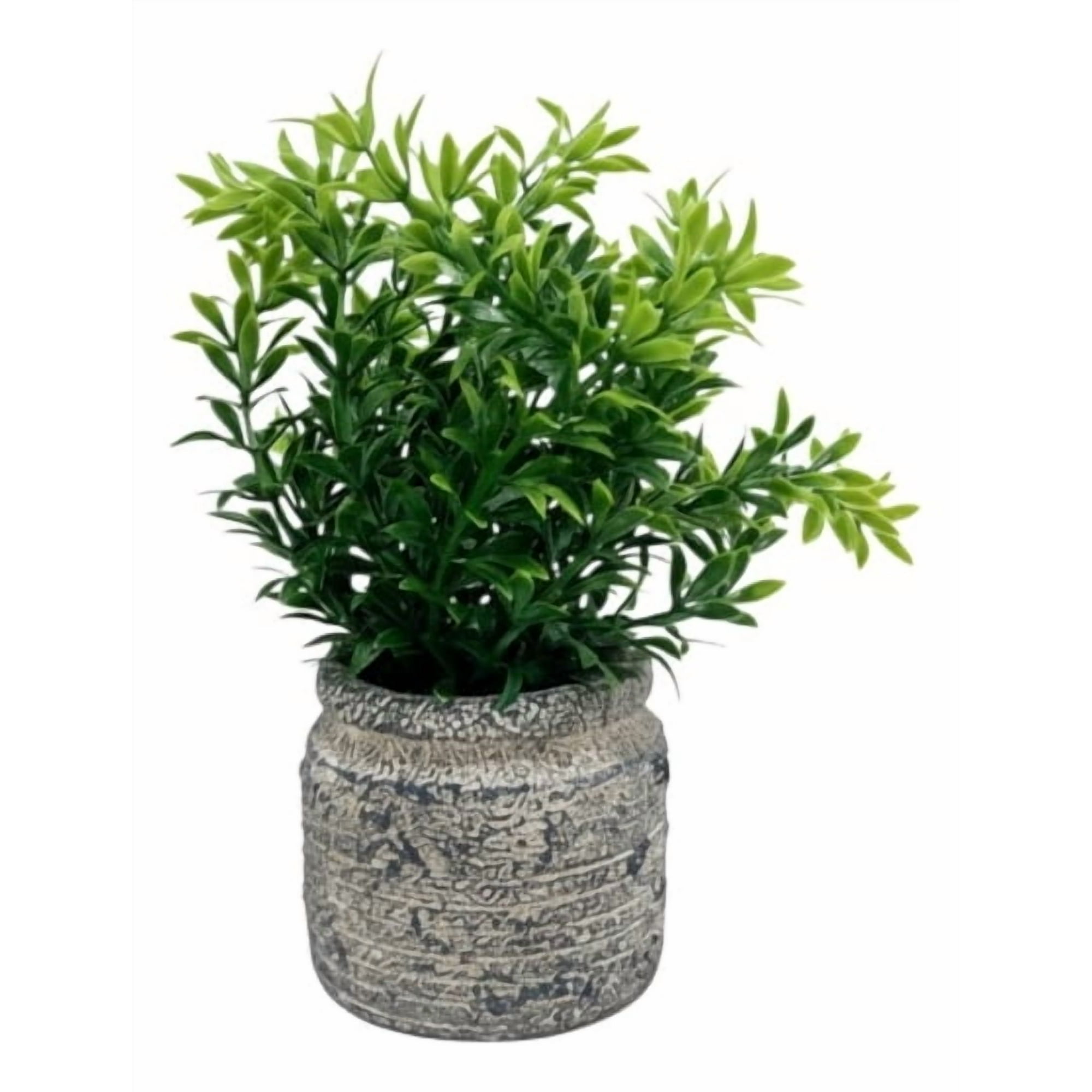 Genérico - Set 2 Plantas Artificiales Arbusto Follaje Rústico Jhn