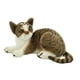 thumbnail image 2 of Mu?eco De Peluche De Gatos Lindos, Animales De Peluche Encantadores Y Cómodos Para El Sofá De La Oficina En Casa, 2 of 5