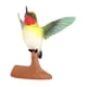 thumbnail image 5 of Hummingbird Modelo Figura Escultura De Animales Para Aulas Favores De Fiesta De Recompensa 3241, 5 of 5