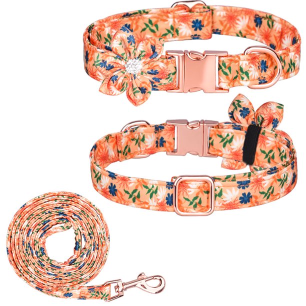 Collar y correa para perro ajustable con hebilla dorada fuerte, hermoso lazo y ribete floral.