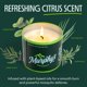 thumbnail image 4 of Velas repelentes de mosquitos Murphy's Naturals, paquete de 9, 4 of 8