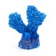 thumbnail image 3 of Planta De Resina Azul, 3 of 3