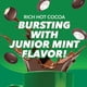 thumbnail image 3 of Hot Chocolate Pods Tootsie Roll Junior Mints, 40 unidades, 3 of 4