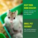 thumbnail image 4 of Papel reciclado Fresh News para ropa de cama para animales pequeños, 10 litros, 4 of 7