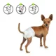 thumbnail image 3 of Pañal Perro Mascotas Absorbente Celo Hembra X10 Blanco L, 3 of 3