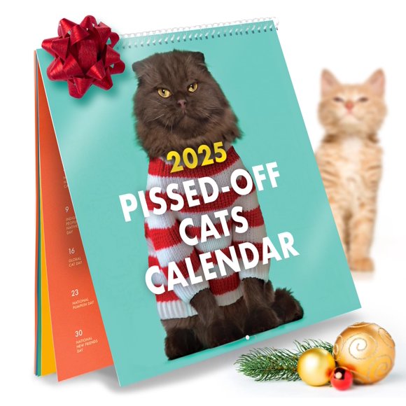 Calendar Raccoon Society El original P'd Off Cats 2025