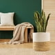 thumbnail image 3 of Cesta de cuerda resistente para plantas, moderna cesta tejida para macetas de interior, organizador de almacenamiento, decoración rústica para el hogar., 3 of 8