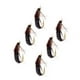 thumbnail image 2 of Moscas Ninfa para Pesca de Truchas, 2 of 3
