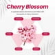 thumbnail image 3 of Shampoo Coreano Anticaída Con Cafeína Y Ácido Salicílico - (cherry Blossom), 3 of 3