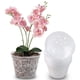 thumbnail image 4 of Xiao Hua Maceta para Orquídeas, Perforada, Maceta Transparente para Plantar Orquídeas Mariposa con base, Adecuada para Plantar en Interiores y Exteriores, 2 Juegos (Excluyendo Plantas), 4 of 4