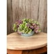 thumbnail image 3 of Hortensia Verde 45cm Con Textura Realista, 3 of 3