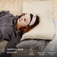 thumbnail image 5 of Pillows BHZ con plumas de ganso, tamaño estándar, juego de 2 unidades, color beige, 5 of 9