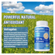 thumbnail image 3 of Raiz de Astragalo 15000mg BioPerine Potencia Sistema Inmune Energia Vitalidad 120 caps, 3 of 6