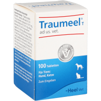 Traumeel 100 Comprimidos Heel