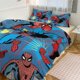 thumbnail image 1 of Spiderman Bedding Sets for Kids Men Women Twin Size Comforter Set, 1 of 5