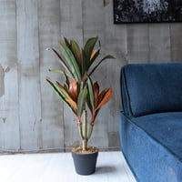 Vadell Home - Dracena Hoja Multicolor De 75 Cm