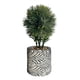 thumbnail image 1 of Planta Artificial Decorativa Elegancia Adorno Hogar Jhn, 1 of 3