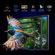 thumbnail image 2 of Extensor de pantalla para laptop Tauvian de 15,6" FHD IPS USB-C HDMI, 2 of 9