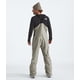 thumbnail image 3 of Babero de esquí THE NORTH FACE Freedom Clay Grey impermeable para hombre XL, 3 of 3