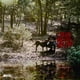 thumbnail image 1 of Vinyl 2LP Warner Bros con el cielo en la cima del género country, 1 of 1