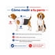thumbnail image 5 of Traje De Huaso Chileno Para Perro Talla L, 5 of 10