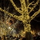 thumbnail image 4 of Luces de cadena kemooie 50 m 500 LED blanco cálido impermeables, 4 of 7