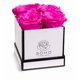 thumbnail image 1 of Flores preservadas, rosas en una caja, Soho Floral Arts, color blanco y rosa, 1 of 6