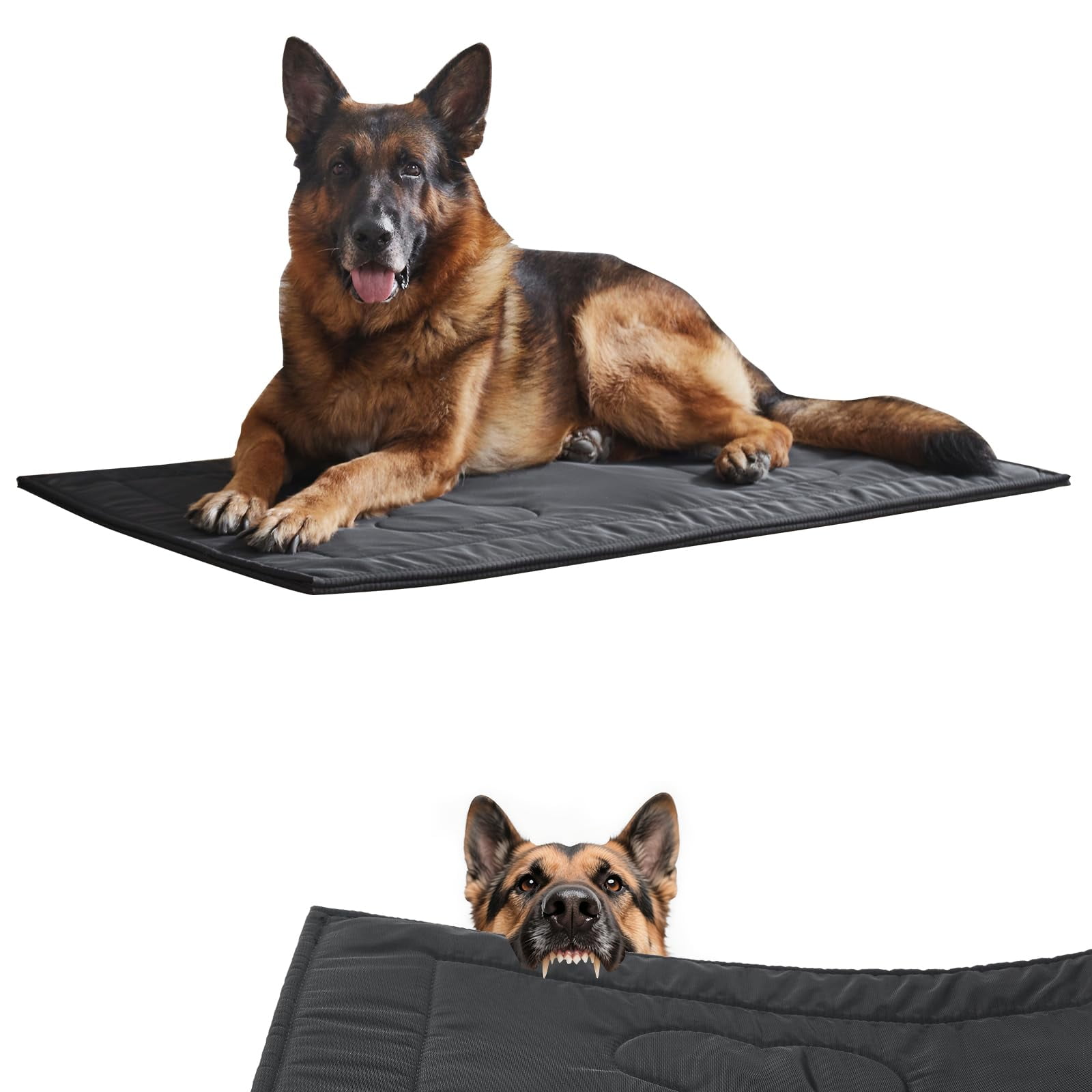 Cama Para Perros Couzssyhi, A Prueba De Masticaciones, Indestructible Para Perros Grandes